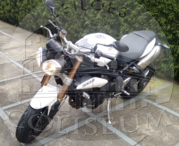 Lote 012 - Triumph Speed Triple 1050 2013